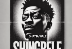 Shatta Wale – Shingbele
