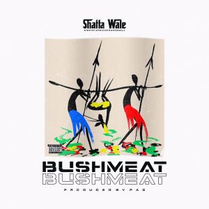 Shatta Wale – Bushmeat